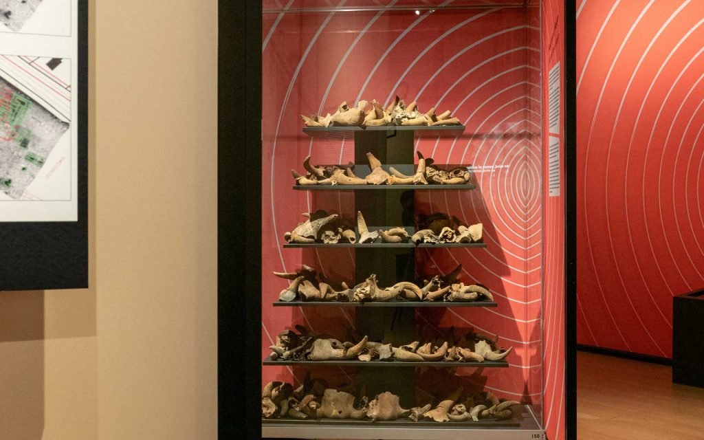 Boven het maaiveld - Rijksmuseum van Oudheden
www.kathrinhero.nl